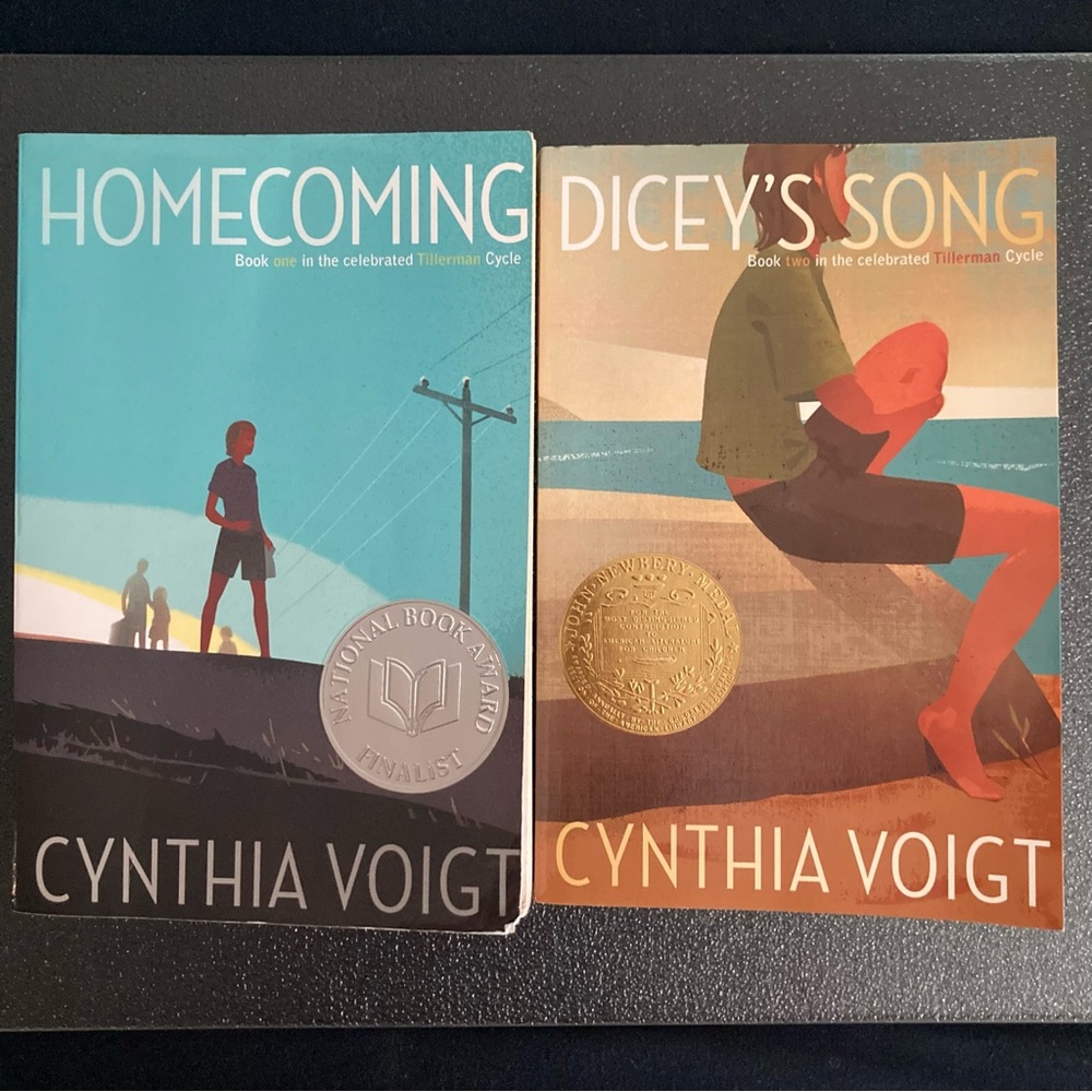 2 YA novels